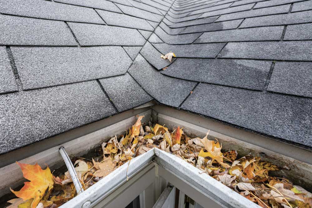 Early Signs of Flooding